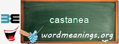 WordMeaning blackboard for castanea